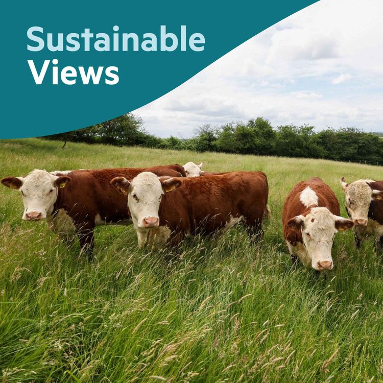 cover art for Why is the food system so hard to reform?