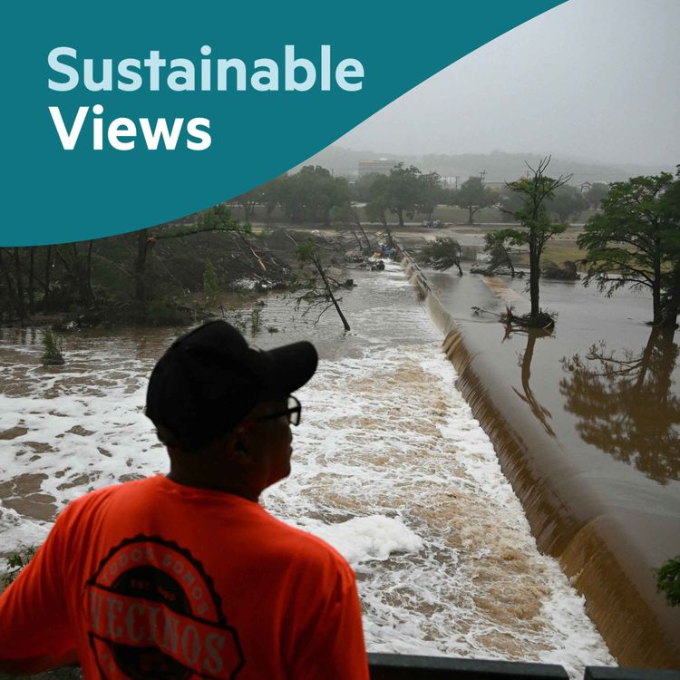 cover art for Are we insured against future climate change damage?