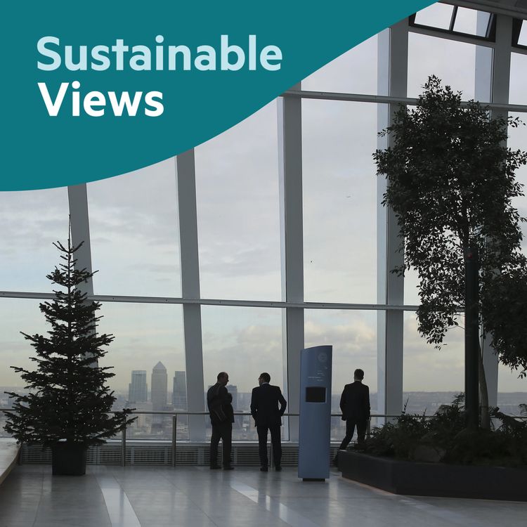 cover art for How has corporate sustainability changed in the past 12 months?