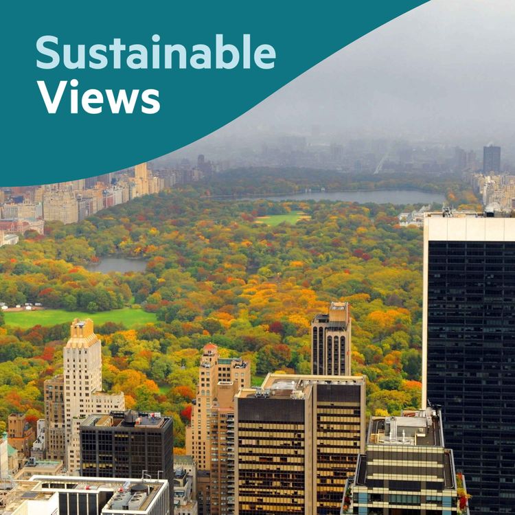 cover art for What happened at New York Climate Week?