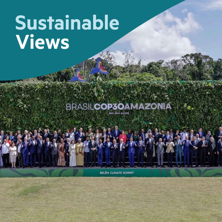 cover art for What to expect from COP30