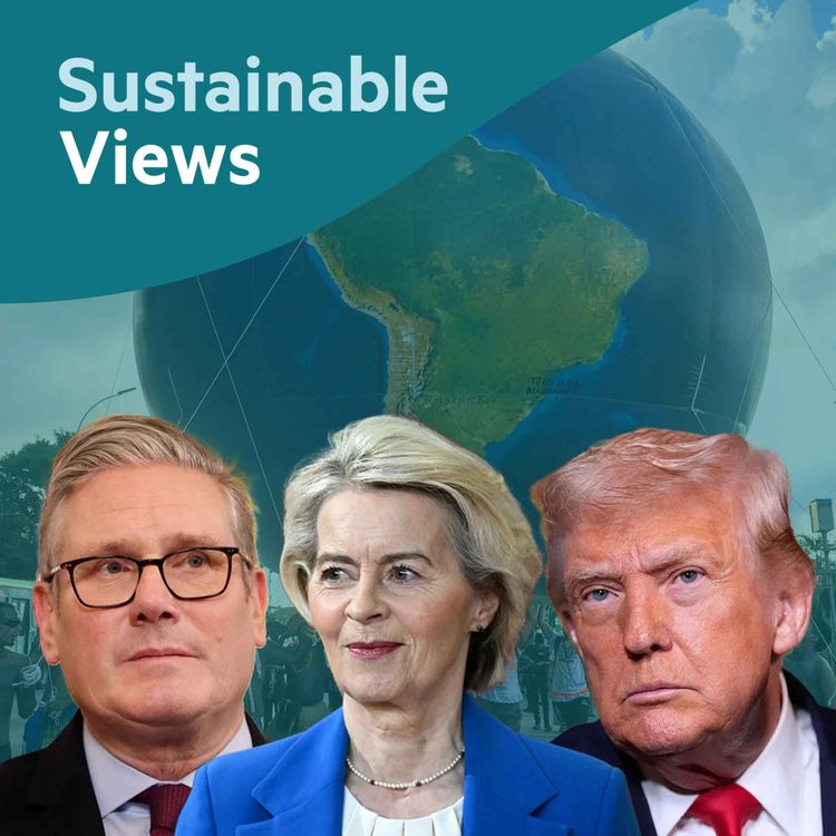 cover art for 2025: Year in review