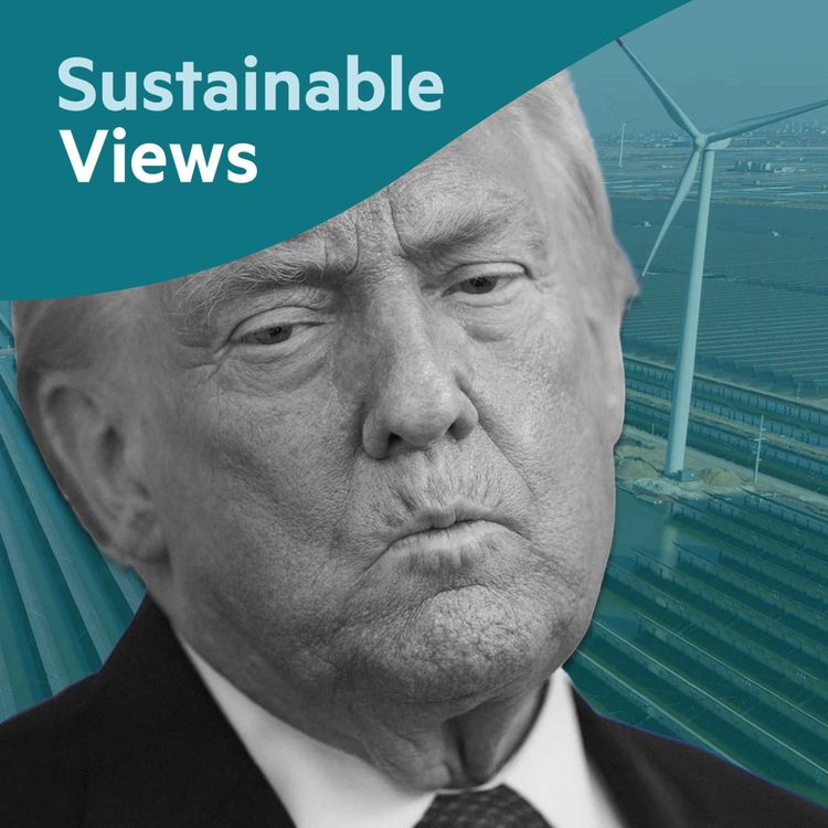 cover art for What to expect in sustainability in 2026