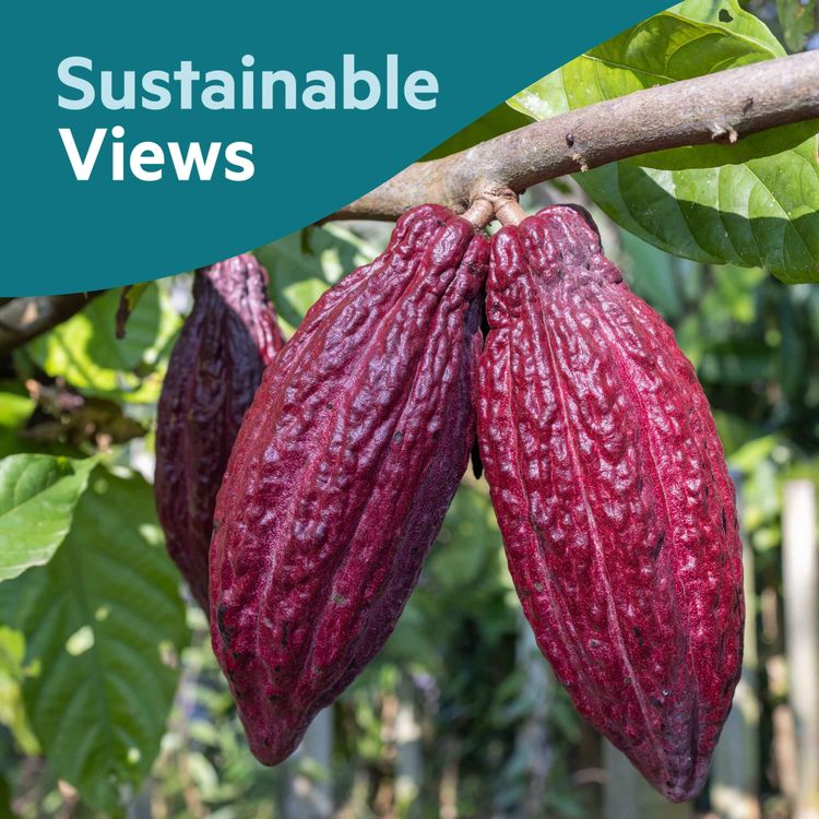 cover art for Building business resilience through sustainability practices - Bart Vandewaetere, Nestlé