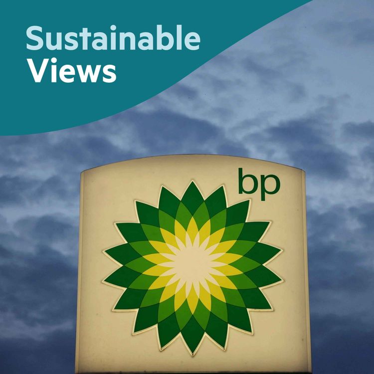 cover art for Is shareholder power under threat?