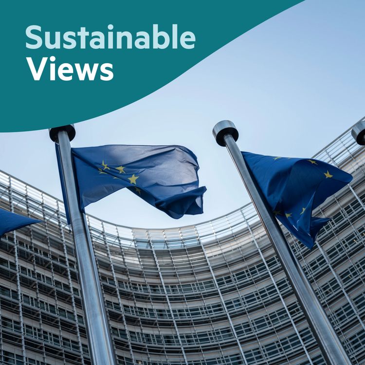 cover art for What is the current state of sustainability reporting?