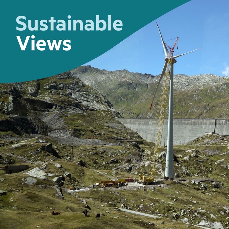 cover art for Are sustainable funds working?