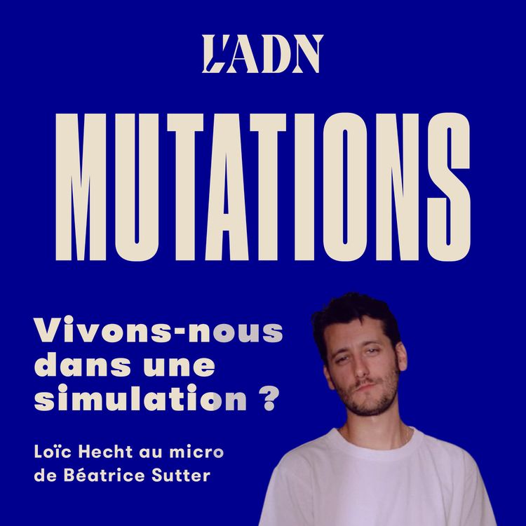 cover art for "Vivons-nous dans une simulation ?", avec Loïc Hecht