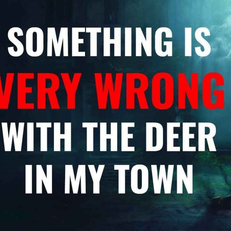 cover art for Something's Wrong With The Deer in Magoffin County