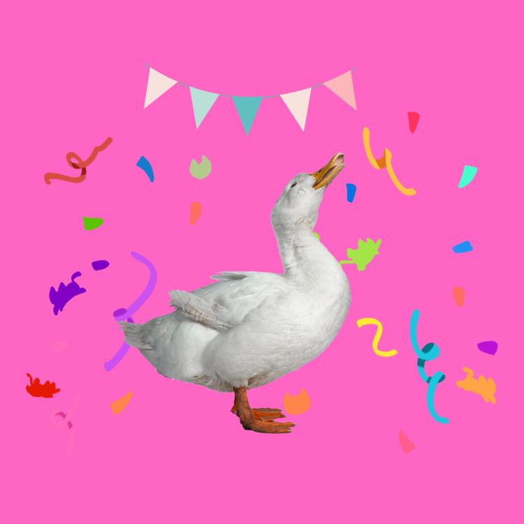 cover art for Folge 50 - Podcast Hausparty