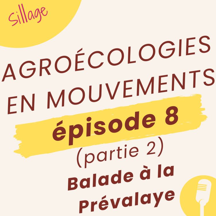 cover art for EPISODE #8 - PARTIE 2 - BALADE A LA PREVALAYE !