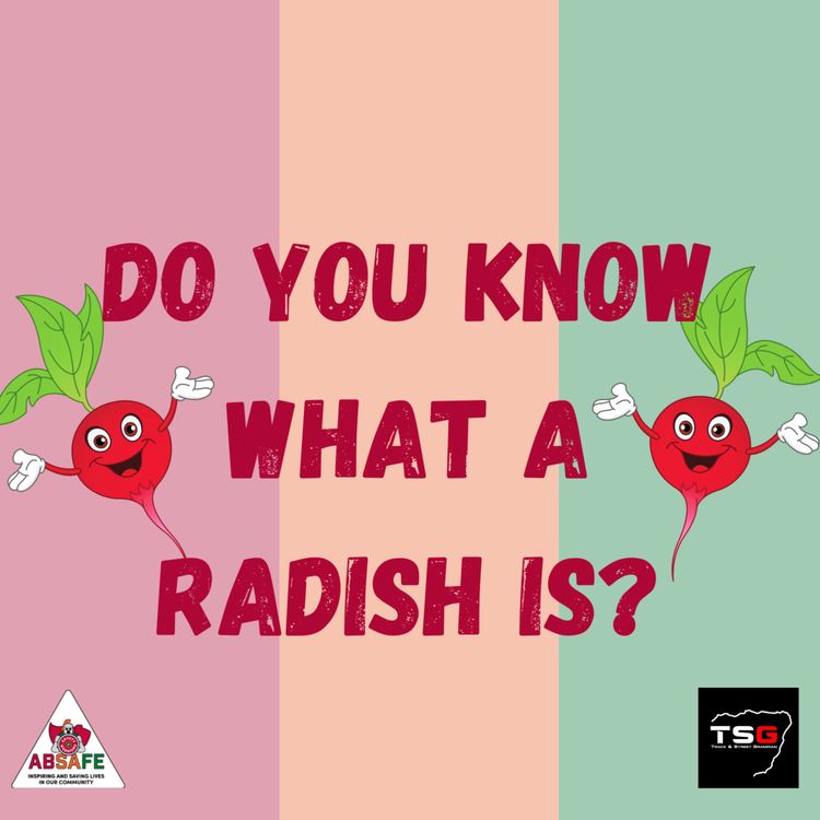 cover art for Do you know what a radish is?