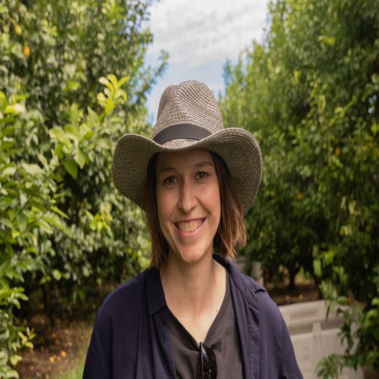 cover art for The tourism-migration nexus: working holiday visa politics and repurposing tourists as labour