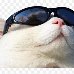 cover art for Inmigrante style 