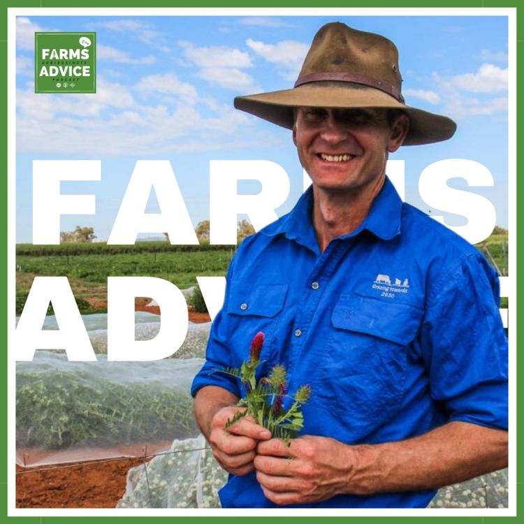 cover art for Farm Yarns: Richard Hayes