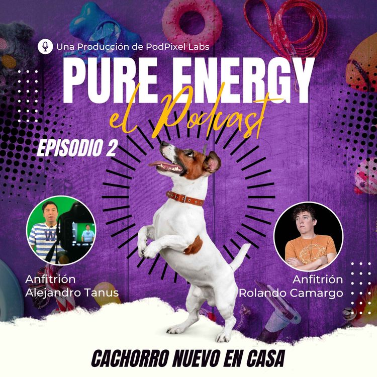 cover art for Cachorro Nuevo en Casa