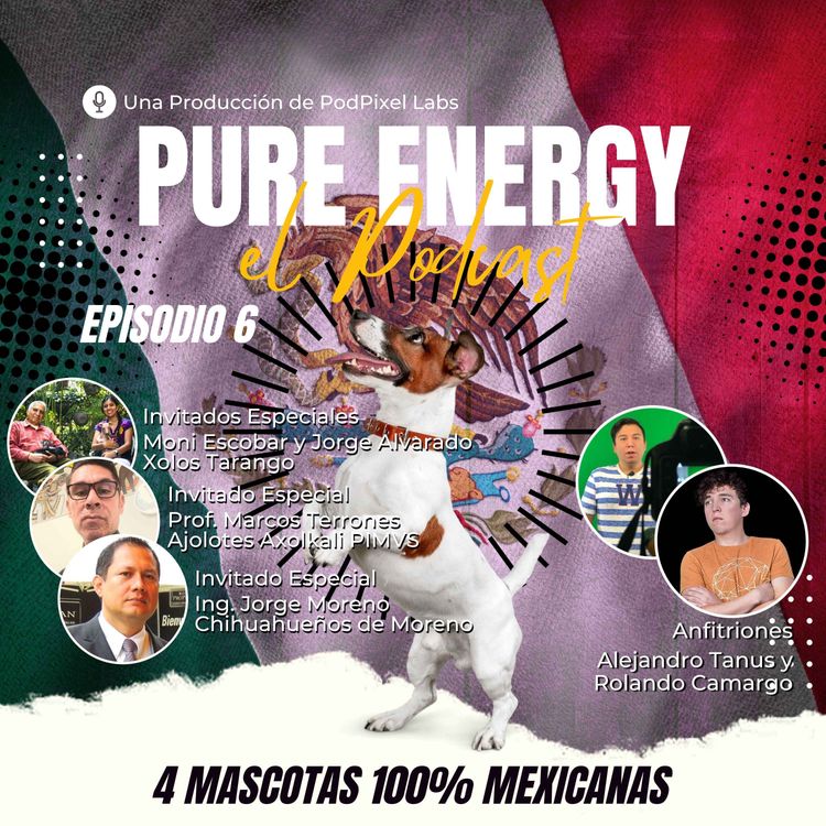 cover art for 4 Mascotas 100% Mexicanas (Episodio Especial)