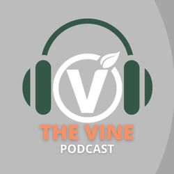 cover art for The Vine Church Podcast