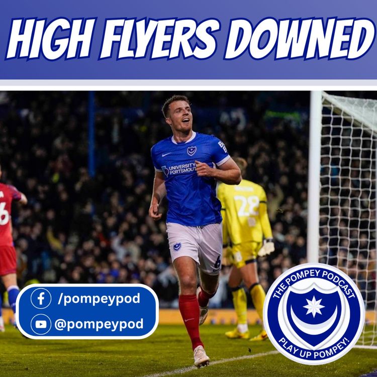 cover art for High Flyers Downed