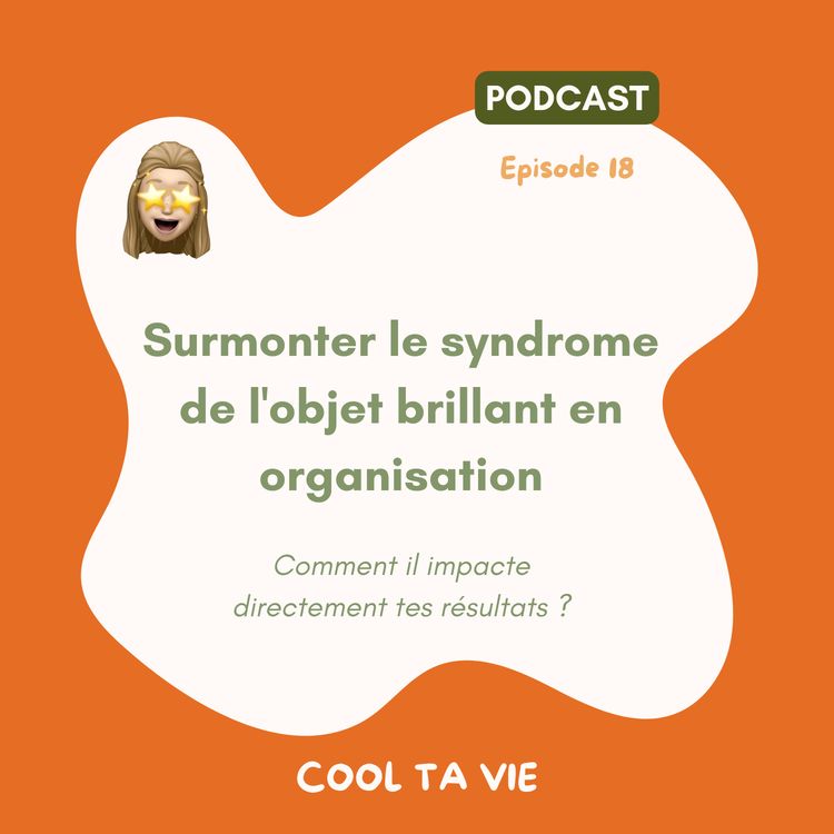 cover art for 18 | Surmonter le syndrome de l'objet brillant en organisation