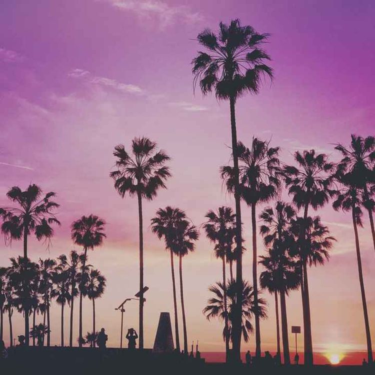 cover art for Electro Dance Music by Miguel Gracia March 2016