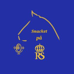 cover art for Snacket på RS