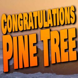 cover art for Congratulations Pine Tree