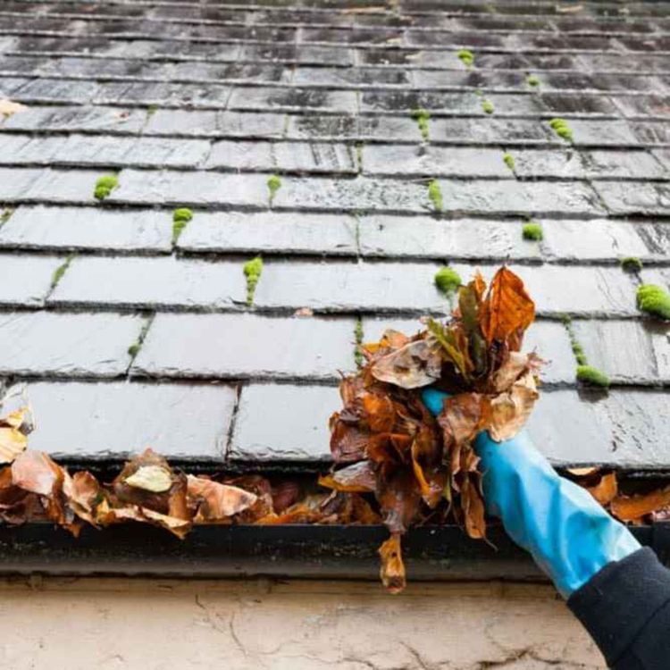 cover art for Commercial Gutter Cleaning Denver