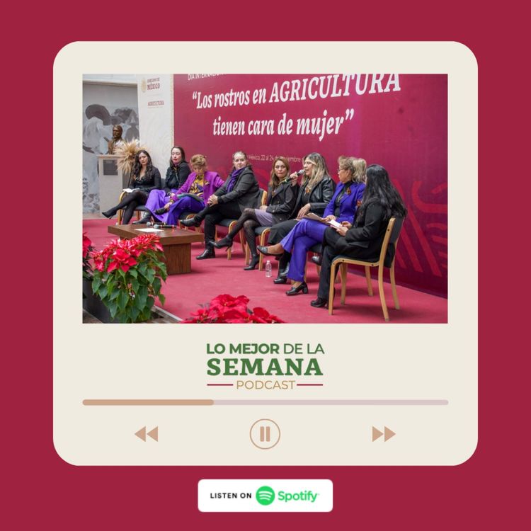 cover art for Día Internacional para la Eliminación de la Violencia contra las mujeres