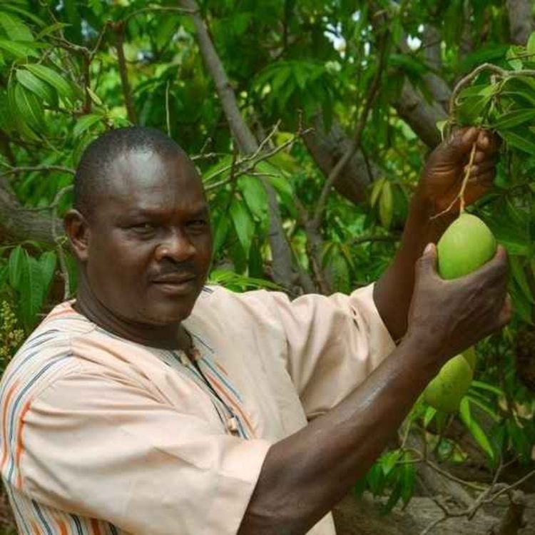 cover art for Eugène Millogo - coopérative UPROMABIO - Burkina Faso