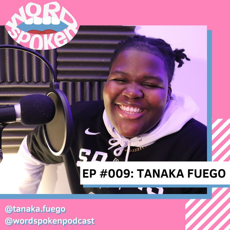 cover art for Tanaka Fuego: Deconalisation, Bitches and Blunts