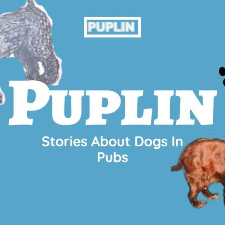 cover art for Puplin- Stories About Dogs In Pubs
