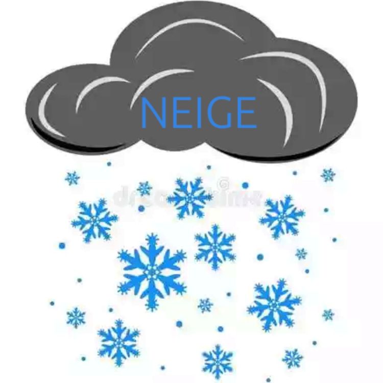 cover art for Neige