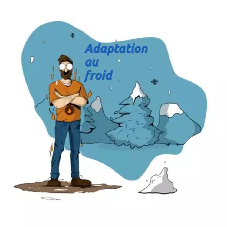 cover art for Adaptation au froid