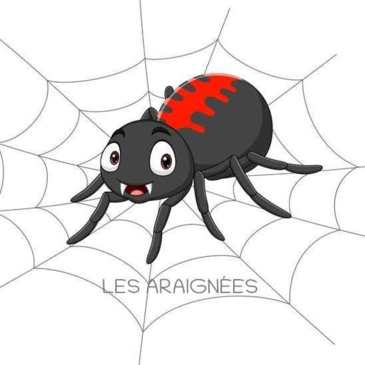 cover art for Araignées