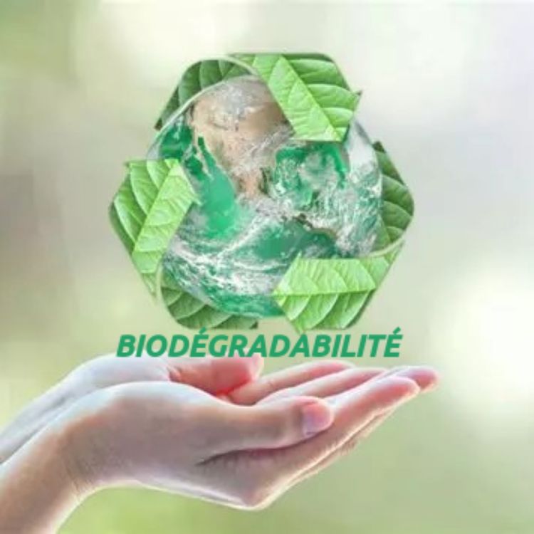 cover art for Biodégradabilité