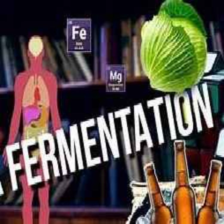 cover art for Fermentations