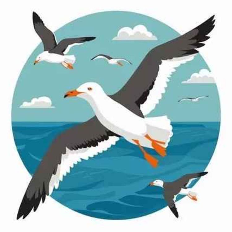 cover art for Oiseaux marins sentinelles