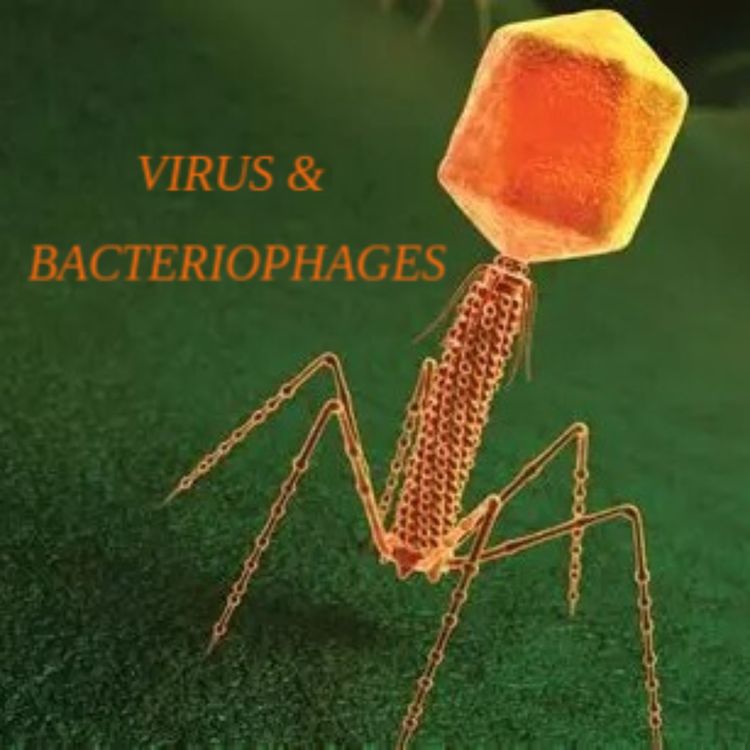 cover art for Virus & Bactériophages