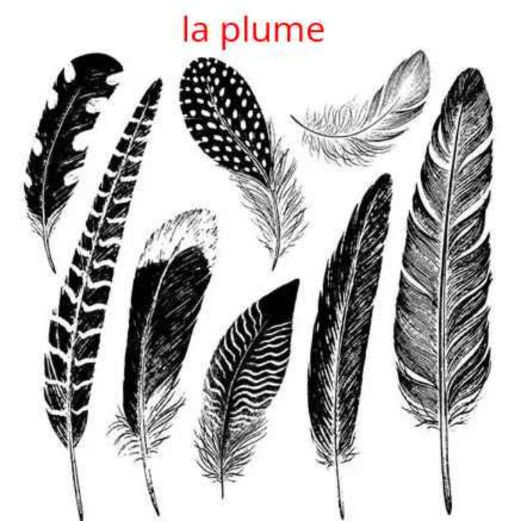 cover art for Plumes