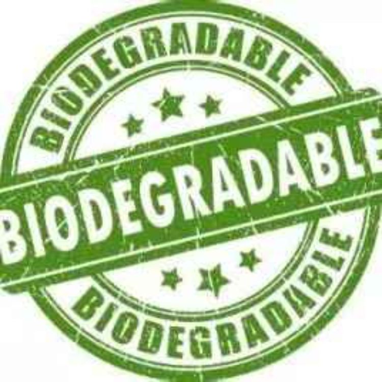 cover art for Biodégradabilité & Compostage