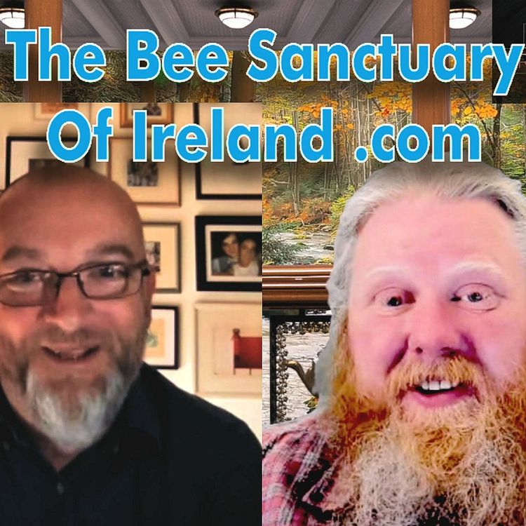 cover art for The Bee Sanctuary of Ireland Paul Handrick Part1of2