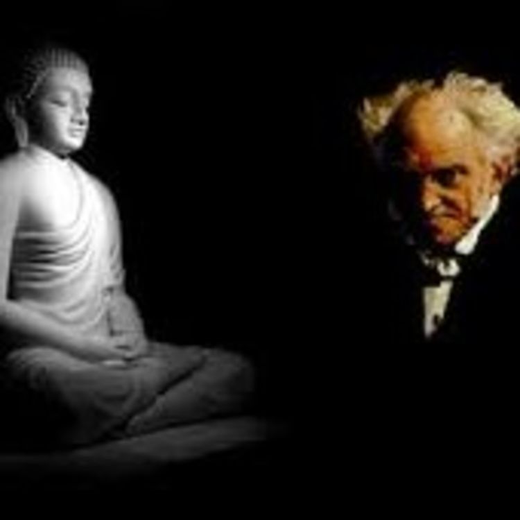 cover art for 8. Iztirob Irodasi 2.Budda va Shopenhauer