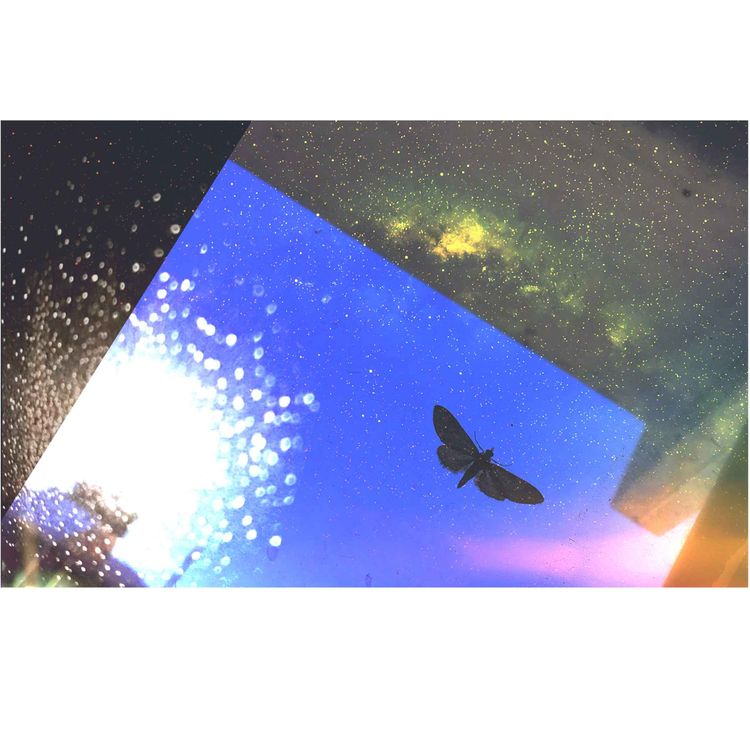 cover art for Un poco de muchas cosas Neurodivergentes Pt.2