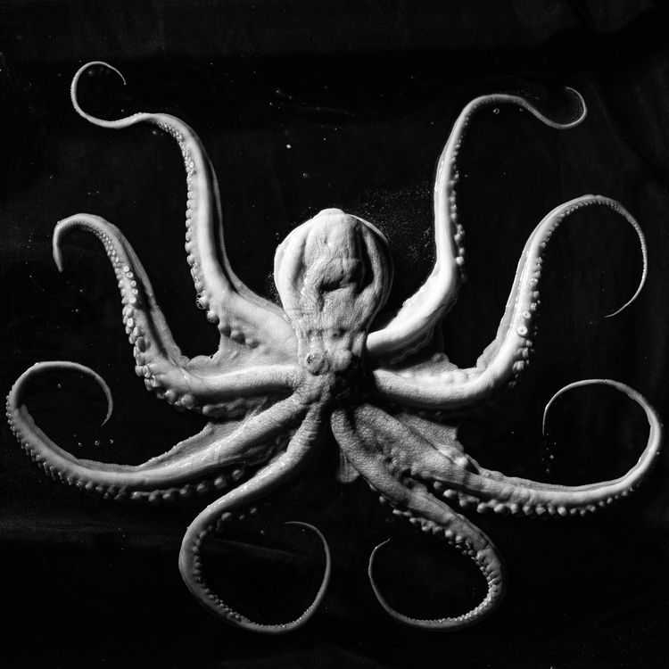 cover art for La llamada de Cthulhu