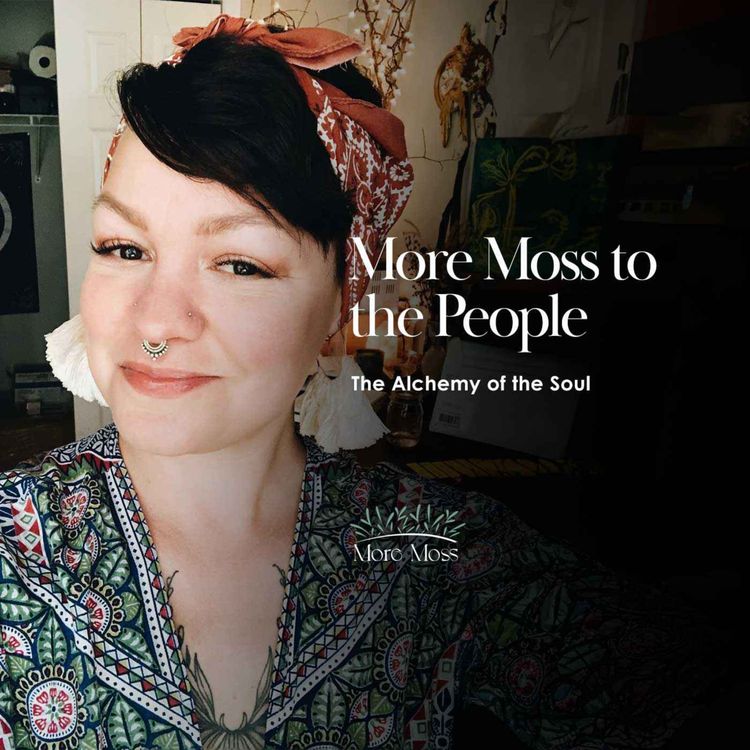 cover art for The Alchemy of the Soul