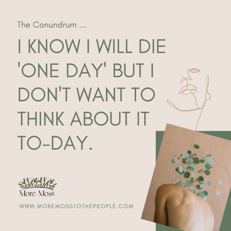 cover art for The Conundrum