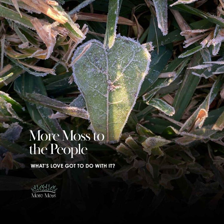 cover art for WHAT'S LOVE GOT TO DO WITH IT?