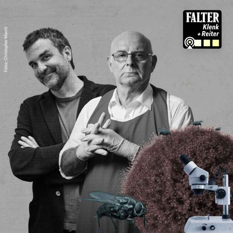 cover art for Was Fliegen über den Todeszeitpunkt verraten – S06E08