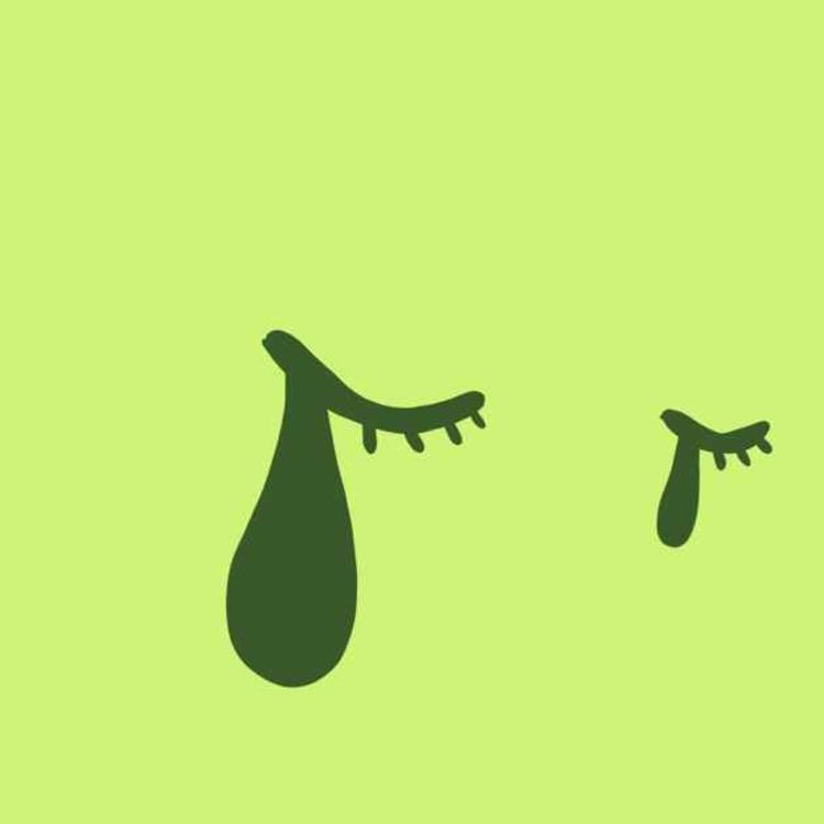 cover art for Des touches electro, de la chanson française, un hommage